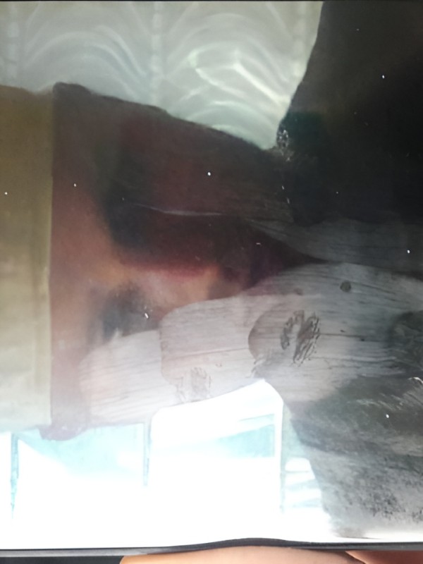 Тамара привлекательная девушка из Абакана цена от 3000 руб